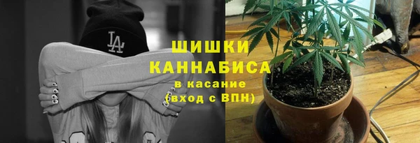 гидра Алексин