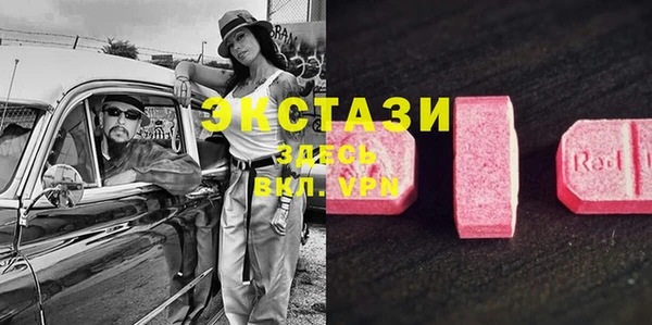 гидра Алексин