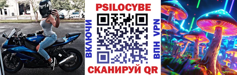 Псилоцибиновые грибы Psilocybe  купить наркотики сайты  Магнитогорск 