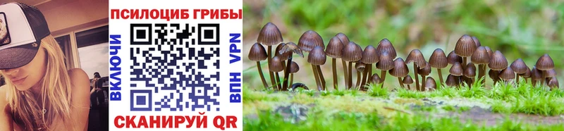 Псилоцибиновые грибы Psilocybe Магнитогорск