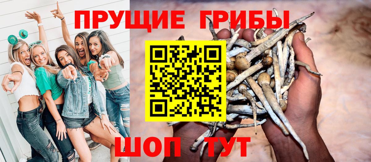 Галлюциногенные грибы Cubensis  дарнет шоп  Магнитогорск  Вход с VPN 